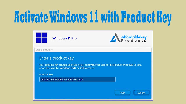 How Can I Activate My Windows 11 Professional Key After Purchasing It